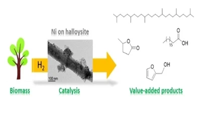 Nickel Nanoparticles Immobilized on Pristine Halloysite: An Outstanding Catalyst for Hydrogenation Processes featured image