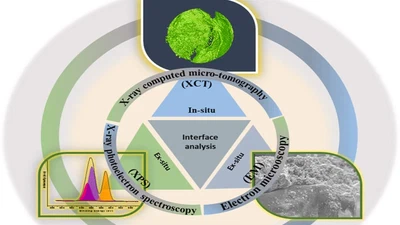 Significance of in situ X-ray tomography for analysing buried interfaces in solid-state batteries: A case study on a Li/Li symmetric cell with a polymer-based electrolyte featured image