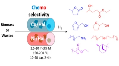 Cobalt and Nickel Nanocatalysts Confined inside Halloysite Nanotubes for Selective Hydrogenations featured image